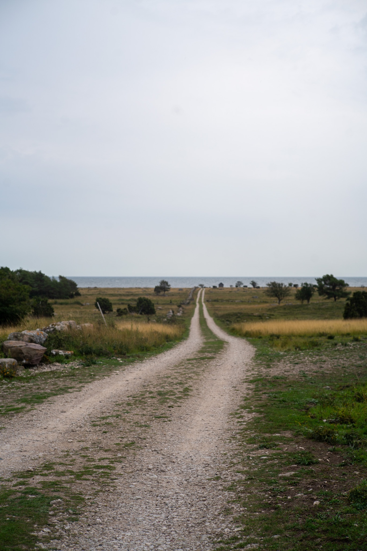 Grusväg mot havet